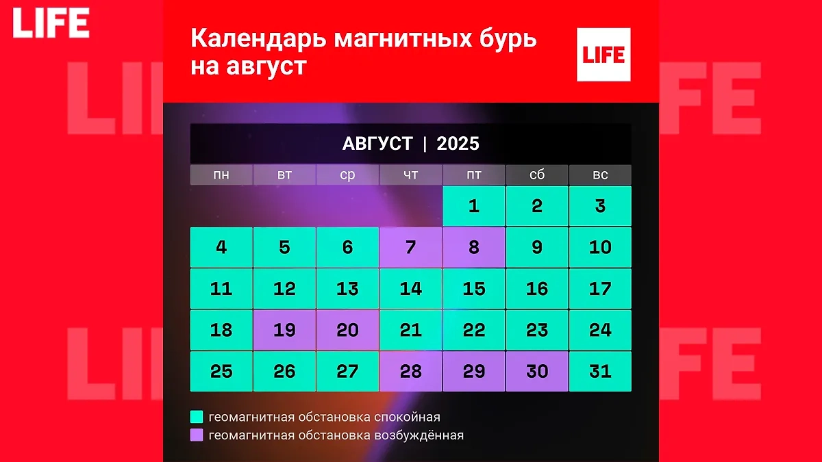 Магнитные бури в августе 2025 года — только в нашем графике. Кстати, хорошие новости для метеозависимых. Фото © Life.ru