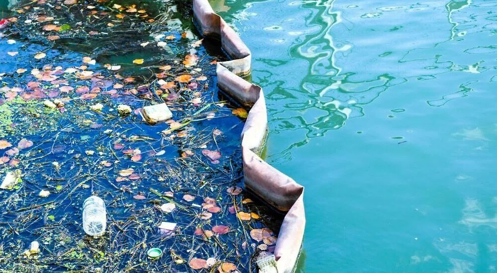 Мусор в реке Сена. Фото © X/ VirginiePerez