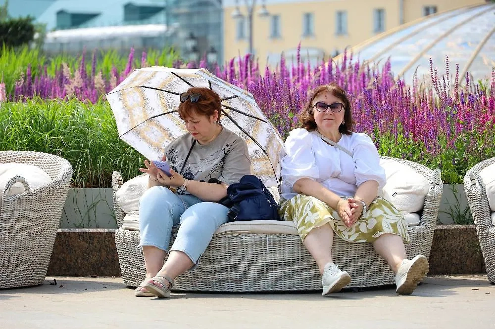 Фото © ТАСС / Олег Елков