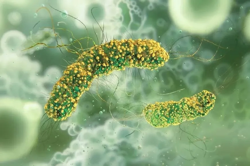 То, что это не смертельно, не значит, что можно этим болеть и не лечиться. Фото © Shutterstock / FOTODOM / Corona Borealis Studio