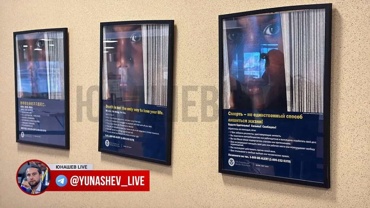 Плакаты в аэропорту Анкориджа об опасностях работорговли. Фото © Telegram / Юнашев LIVE