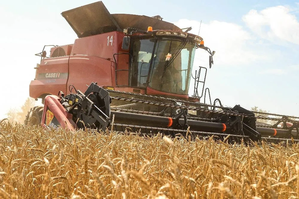 Успение Пресвятой Богородицы 2025: приметы и традиции. Фото © ТАСС / Дмитрий Рогулин