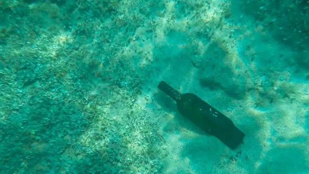 Археологические находки еды: от хлеба до шампанского возрастом тысячи лет. Фото © Shutterstock / FOTODOM / Angel L