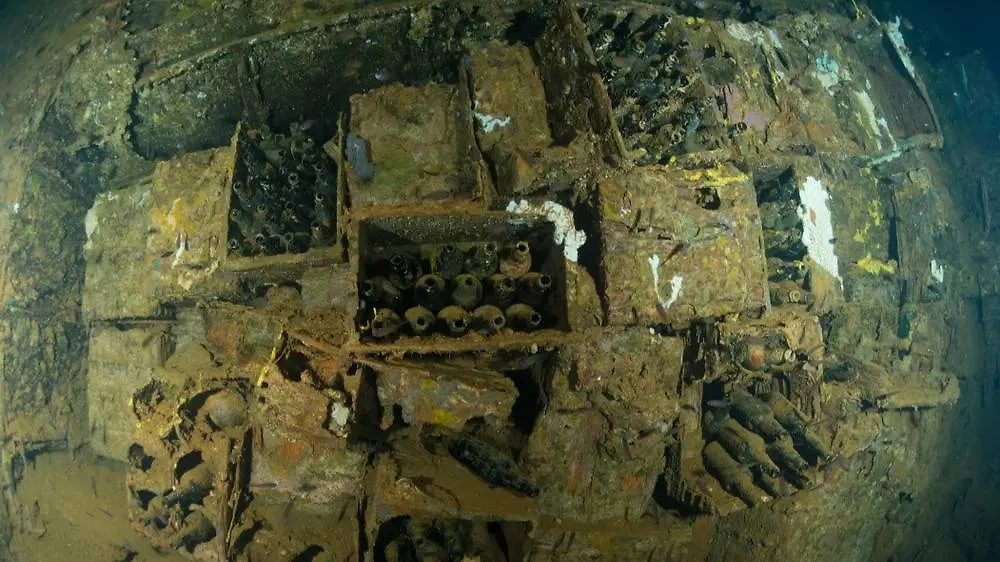 Древняя еда, которая сохранилась до наших дней: топ удивительных находок. Фото © Shutterstock / FOTODOM / Imagine Earth Photography