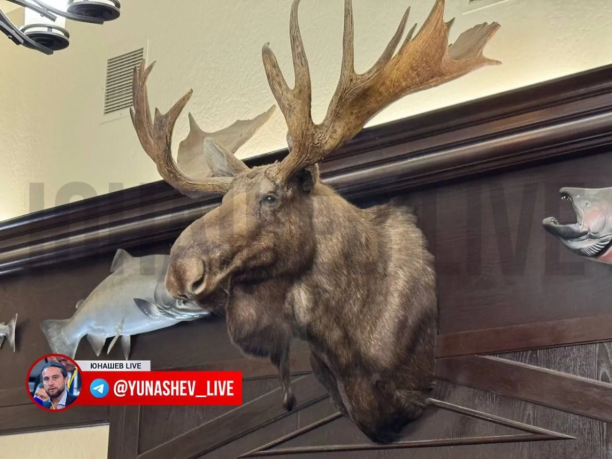 Ещё одно чучело. Фото © Telegram / Юнашев Live