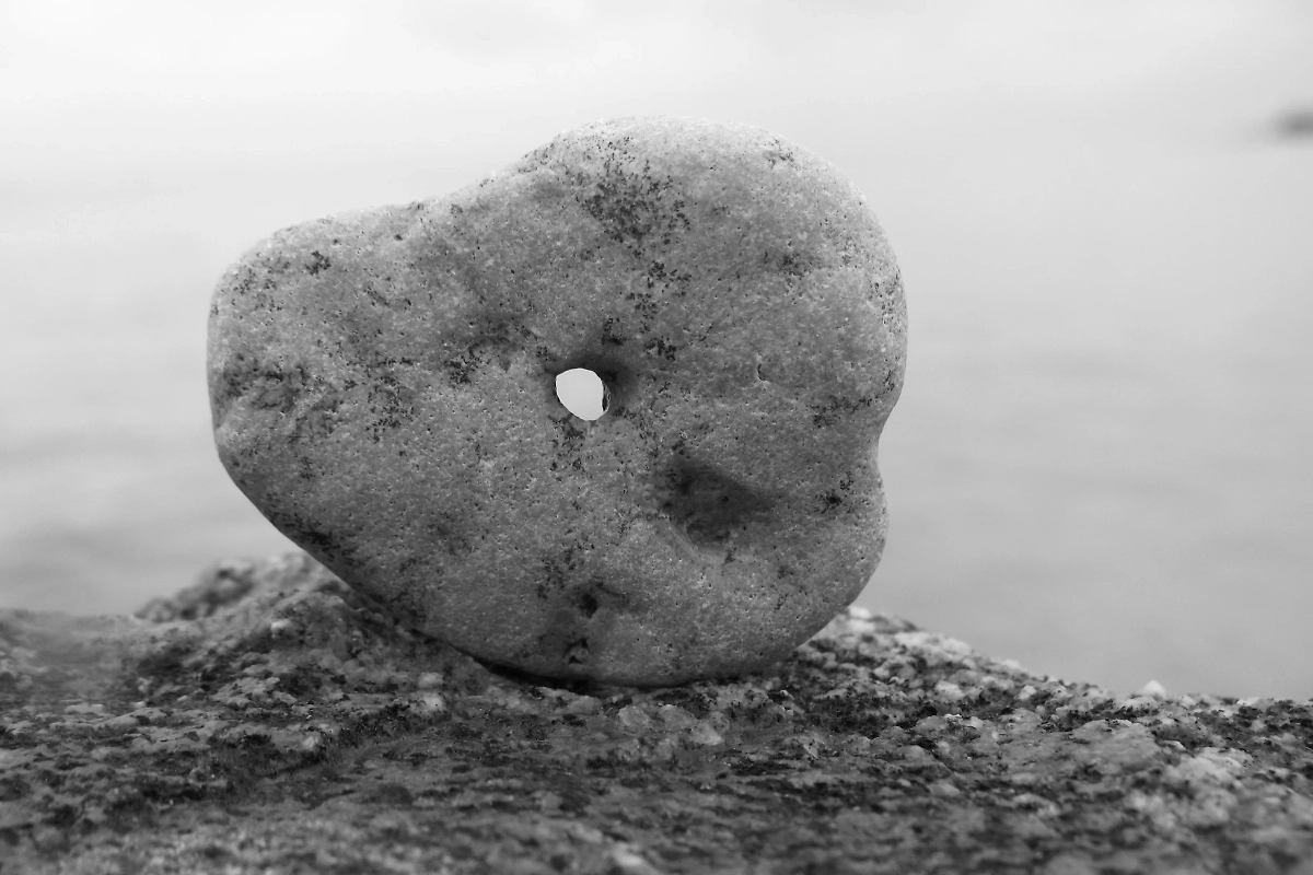 Фото © Wikipedia / Алефіренко Петро Геннадіевич.