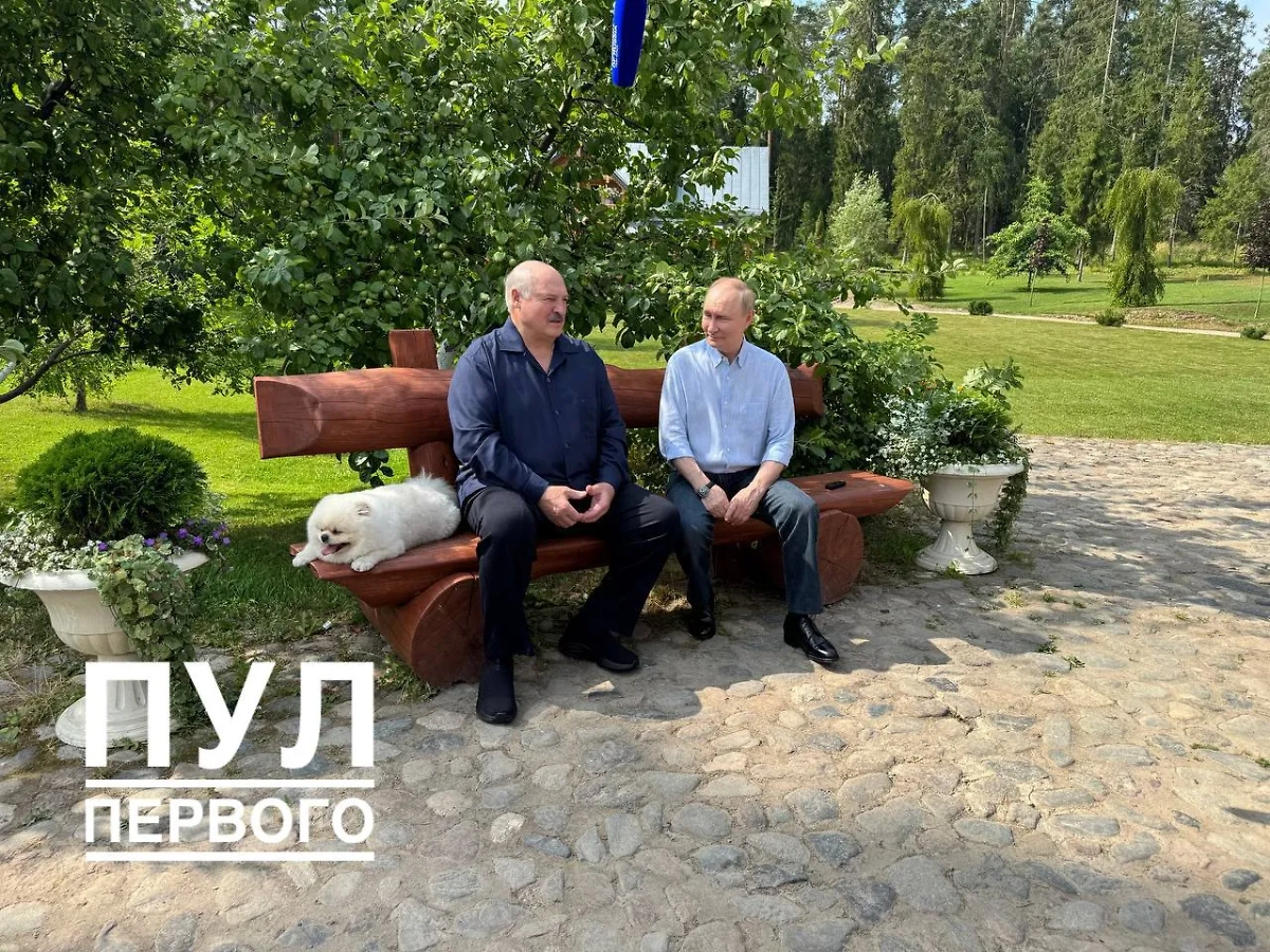 Путин, Лукашенко и Умка на Валааме. Фото © Telegram / Пул Первого