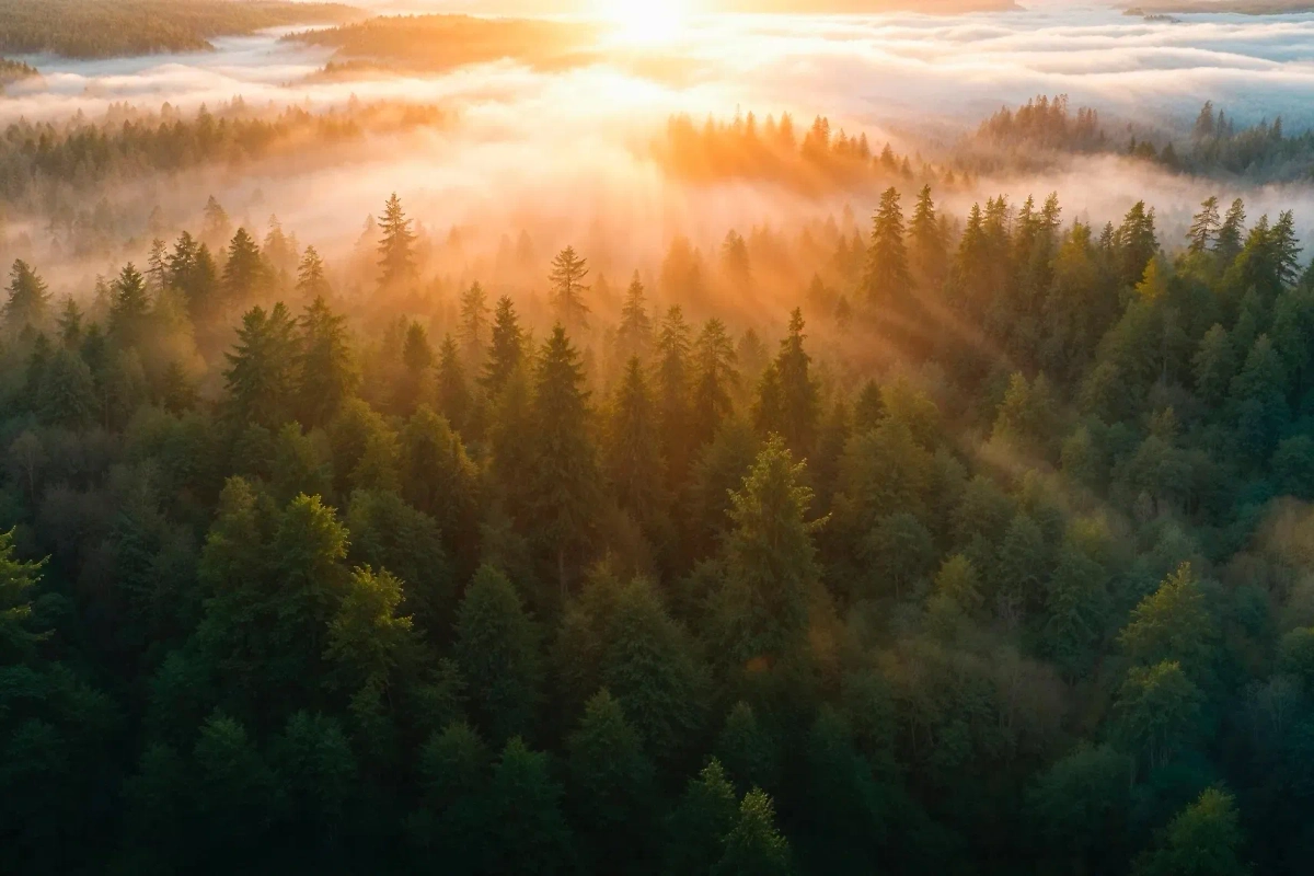А какие приметы на Медовый Спас были у наших предков? Сейчас расскажем. Фото © Freepik