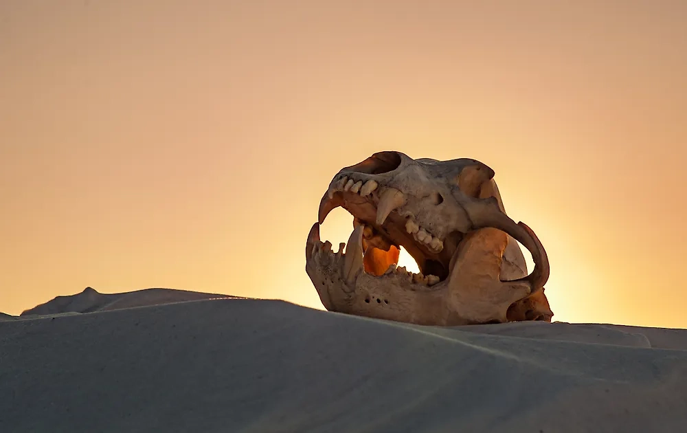 Самые страшные аномальные зоны России, где можно погибнуть. Фото © Shutterstock / FOTODOM / Vladimir_41