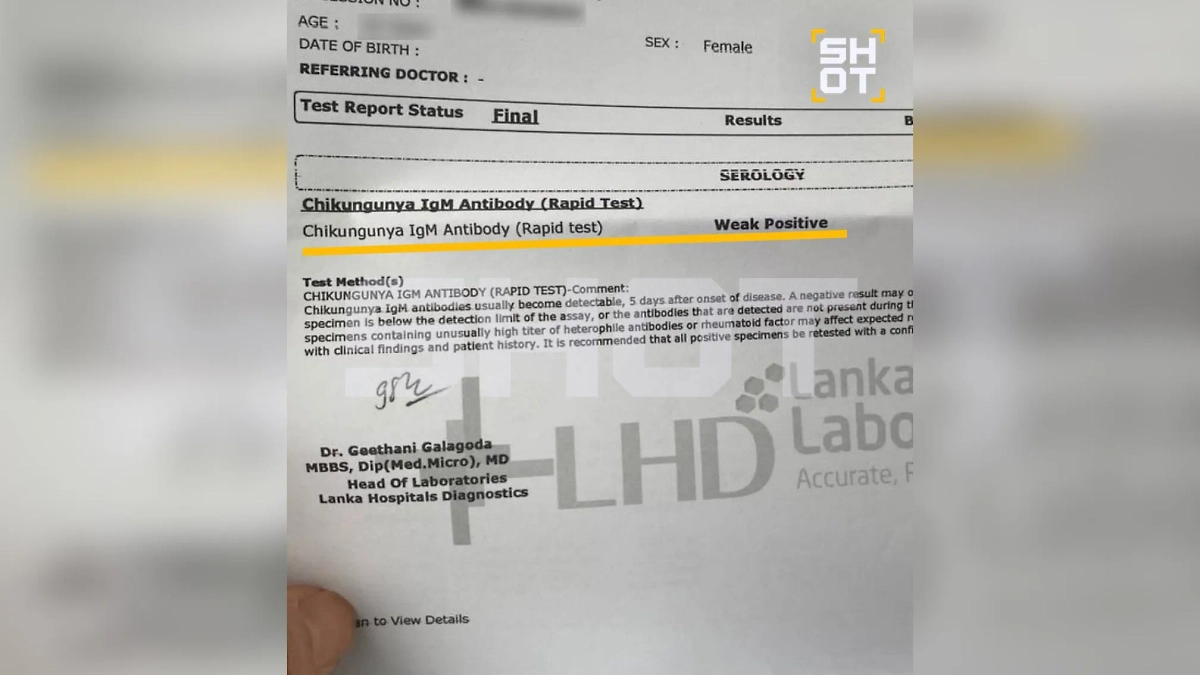 Справка пострадавшей. Фото © SHOT