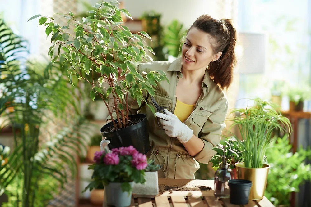 Фото © Shutterstock / FOTODOM / Alliance Images