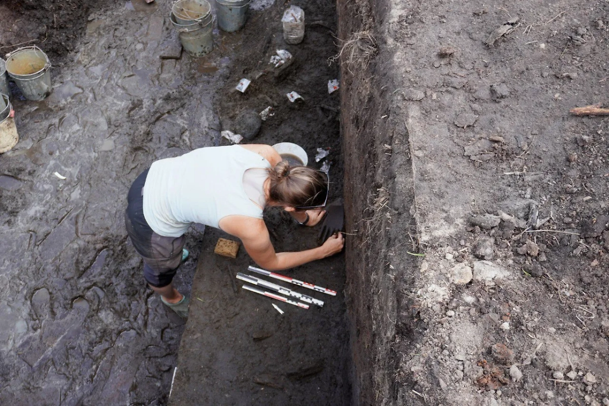 В Смоленской области найдена деревянная кисть каменного века. Фото © Telegram /Эрмитаж