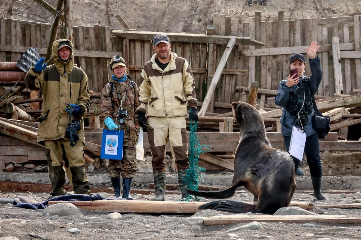Фото © Телеграм / Друзья океана | Сахалин