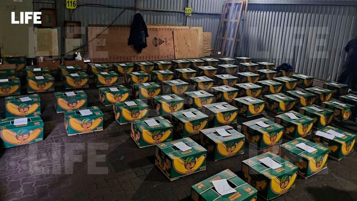 В Санкт-Петербурге сотрудники ФТС и ФСБ задержали 1,5 тонны кокаина, ввезённого в контейнере с бананами из Эквадора. Фото © Life.ru