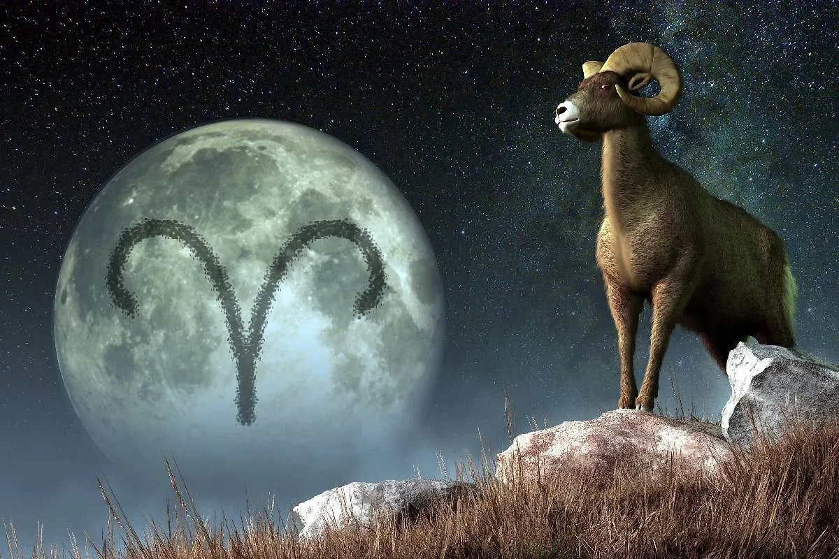 Гороскоп любви, сентябрь 2025: прогноз для каждого знака зодиака. Фото © Shutterstock / FOTODOM / Daniel Eskridge