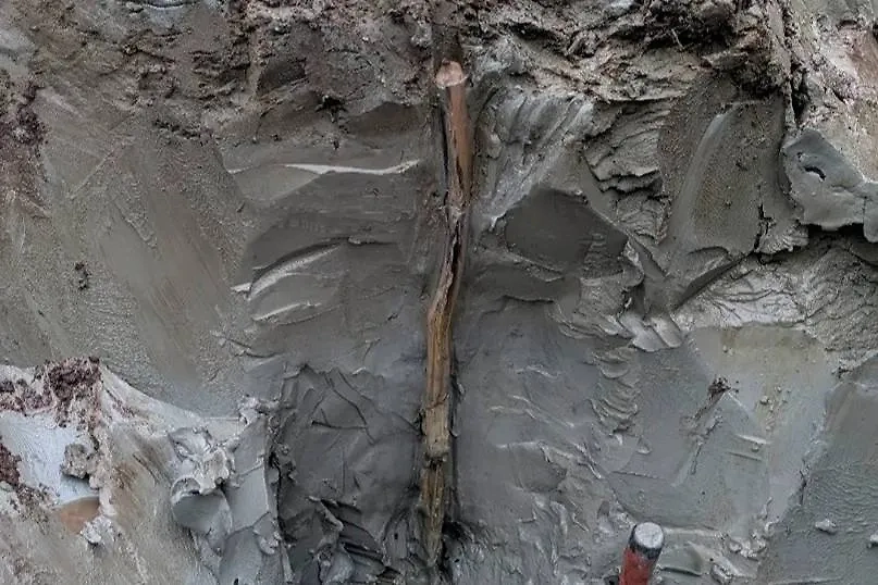 Резная деревянная палка в иле.  Фото © Arkeologerna / SHM