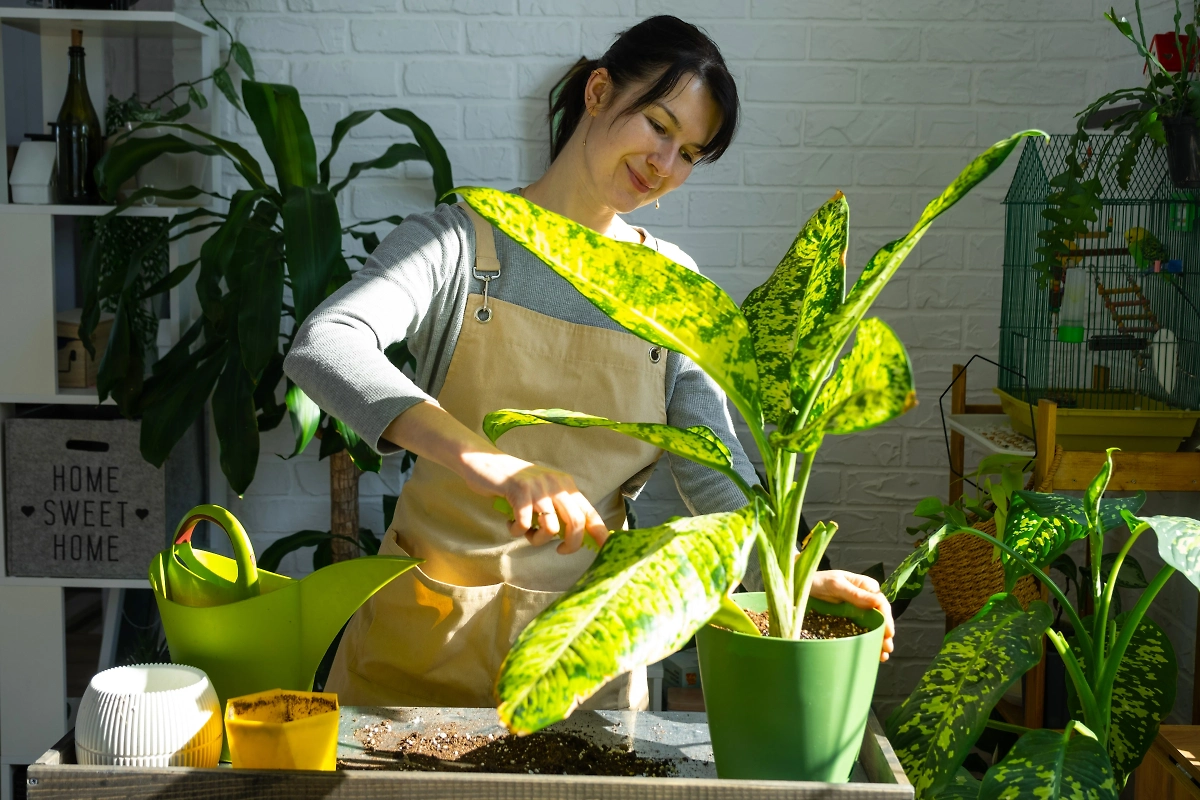 Приметы богатства: 5 верных знаков финансового успеха. Фото © Shutterstock / FOTODOM / Simol1407