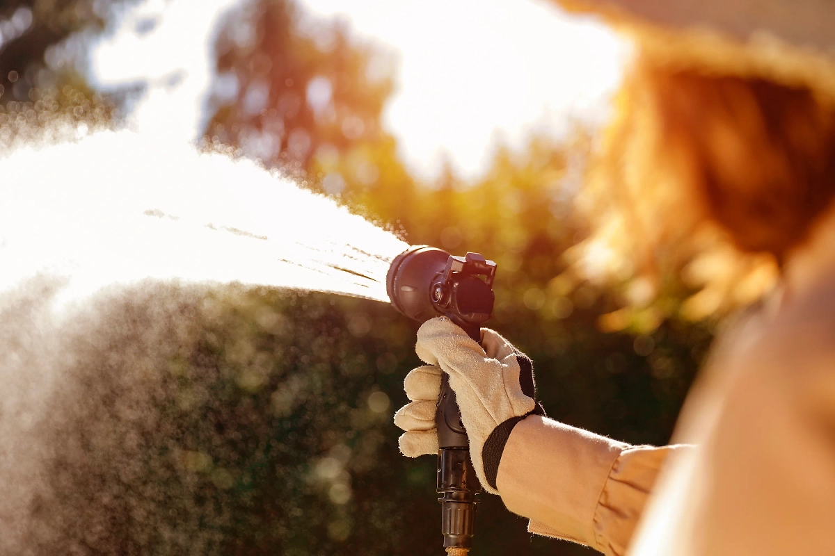 Подготовка сада к зиме: пять критически важных процедур. Фото © Shutterstock / FOTODOM / S_Photo