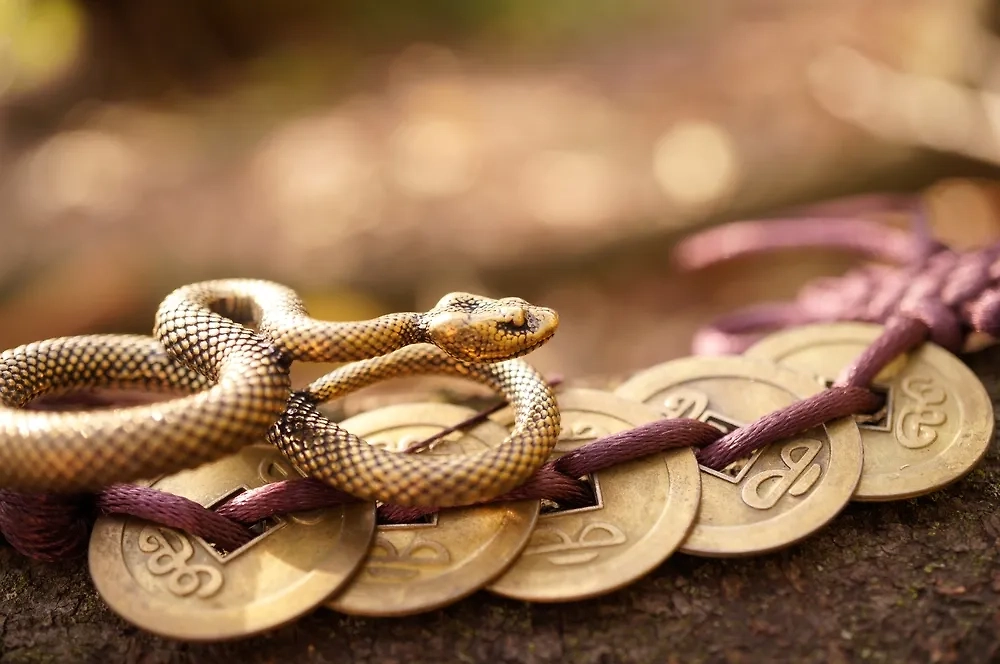 Но кто из китайского гороскопа может пострадать? Есть несколько животных. Фото © Shutterstock / FOTODOM / stasB