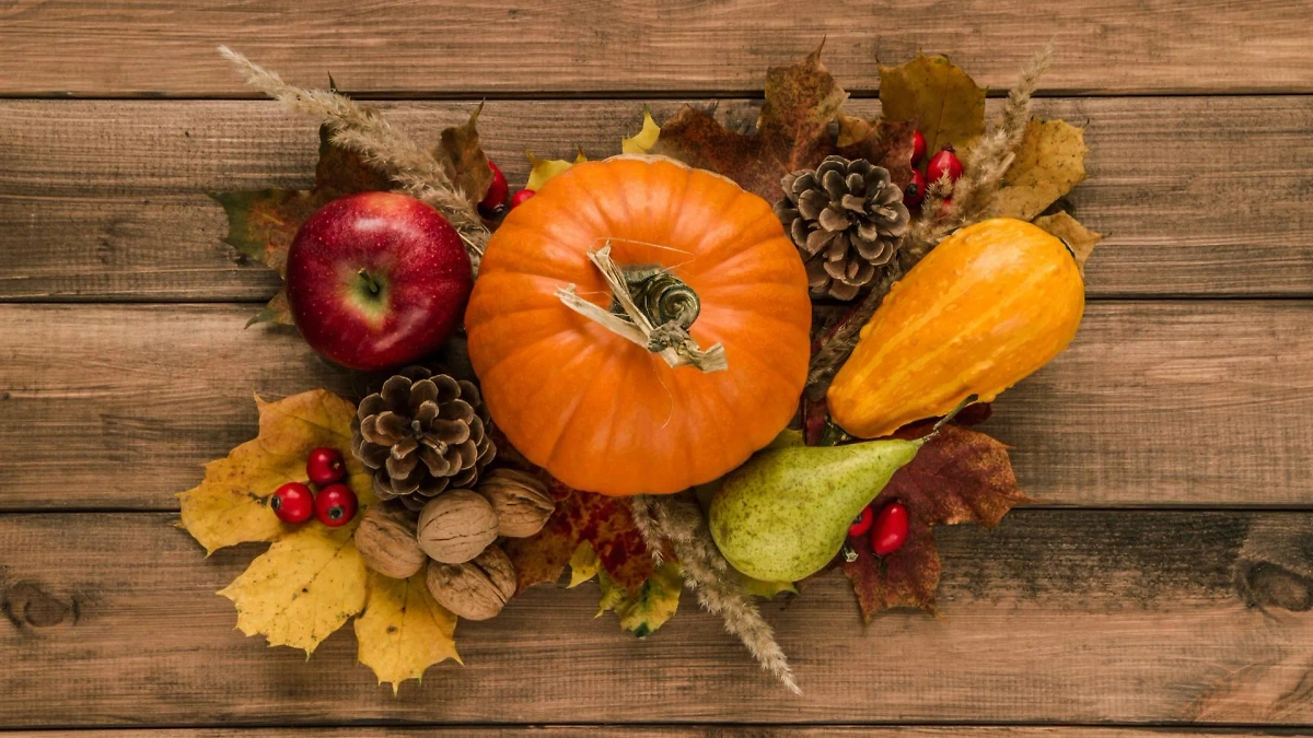 Собираем урожай в октябре 2025 года по лунному календарю садовода — что, кроме тыквы? Фото © Shutterstock / FOTODOM