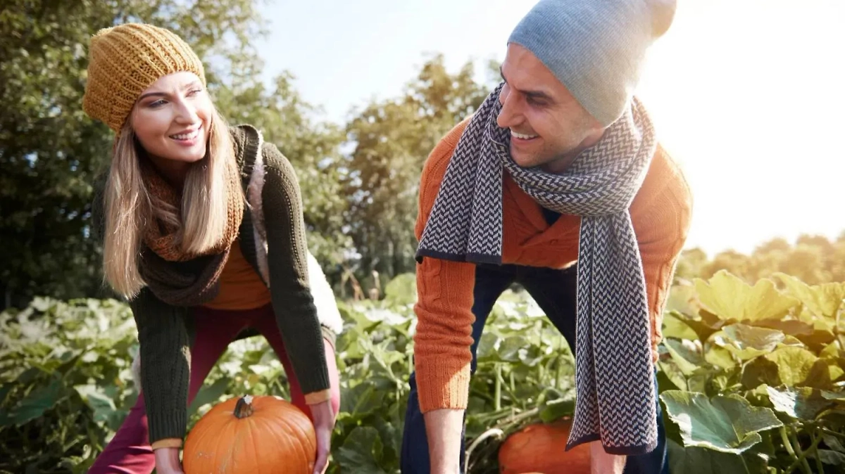 Посев — самая плохая идея для октября. Лунный календарь садовода точно такого не советует. Фото © Freepik