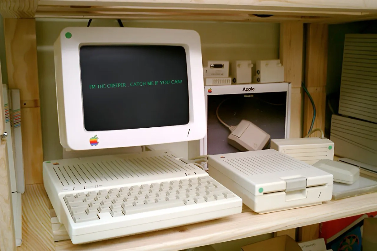 Как появились компьютерные вирусы и чем они опасны. Фото © Wikipedia © Wikipedia