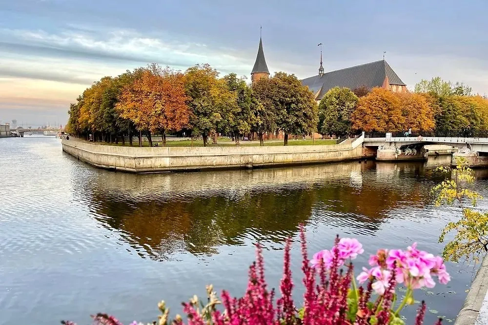 Бархатный сезон 2025 в Калининграде. Фото © Shutterstock / FOTODOM / Ovchinnikova Irina