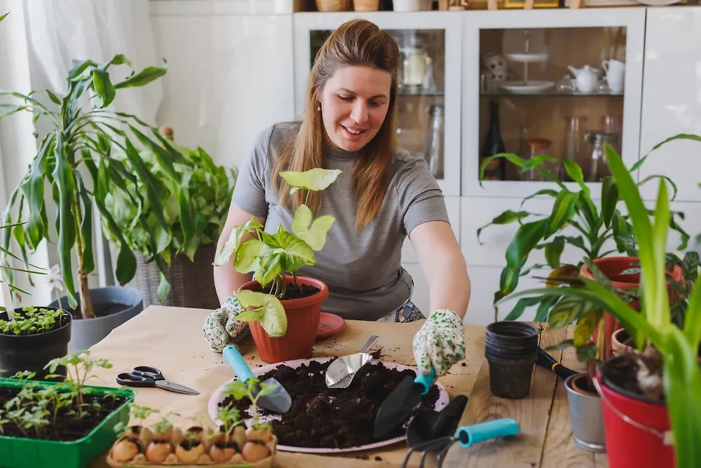 Какие предметы должны быть в доме, если хотите процветания и счастья. Фото © Shutterstock / FOTODOM / Lordn