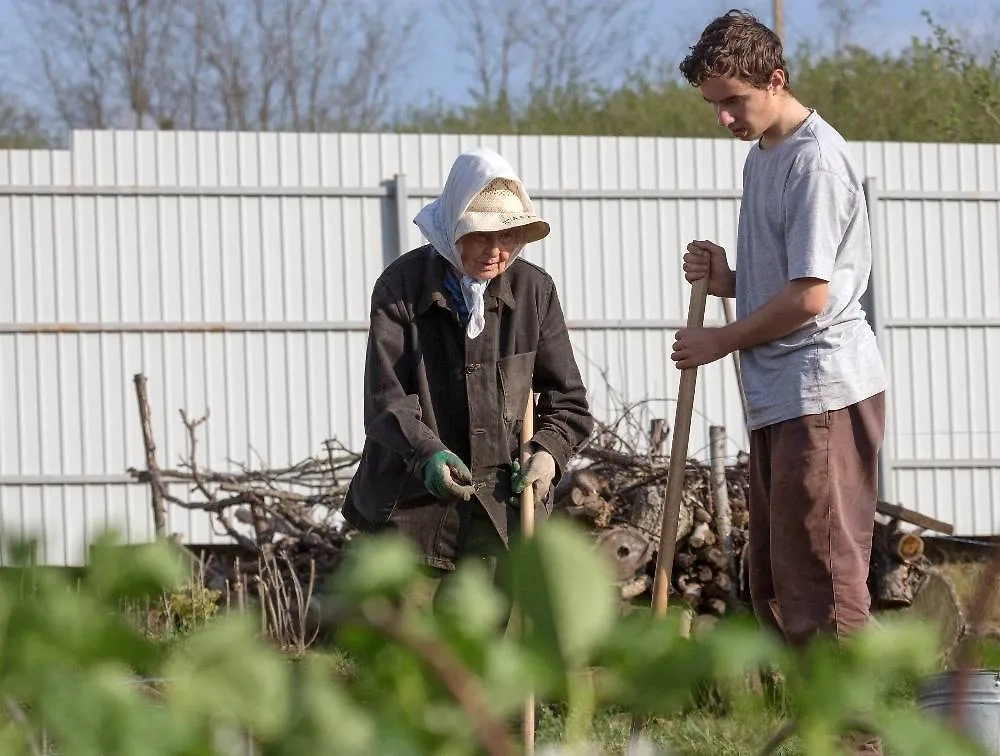 В день Усекновения главы Иоанна Предтечи нужно соблюдать строгие традиции, есть вещи, которые нельзя делать. Фото © ТАСС / Сергей Мальгавко