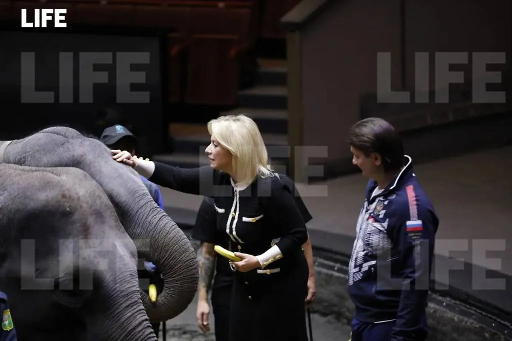 Рукопожатие спикера МИД РФ. Фото © Life.ru