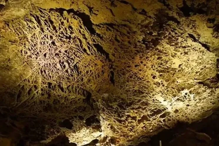 Фото «паутины» в пещере Уинд. © nps.gov