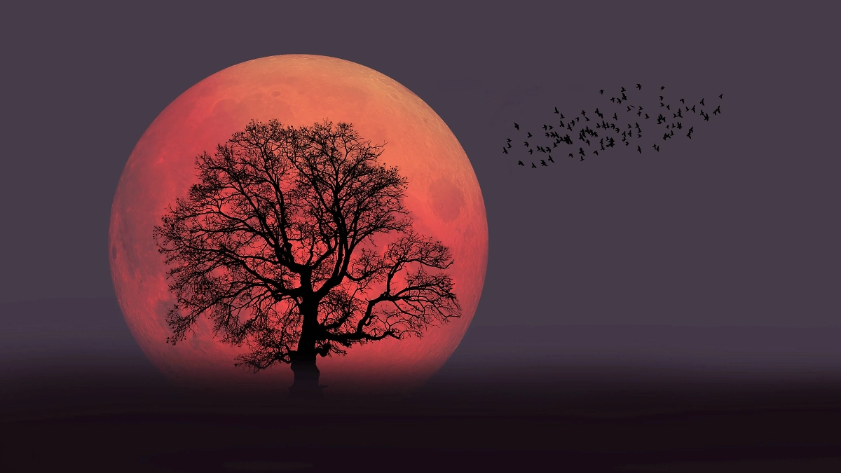 Урожайная луна 2025: точное время, когда наступит полнолуние 7 октября. Фото © Shutterstock / FOTODOM / muratart