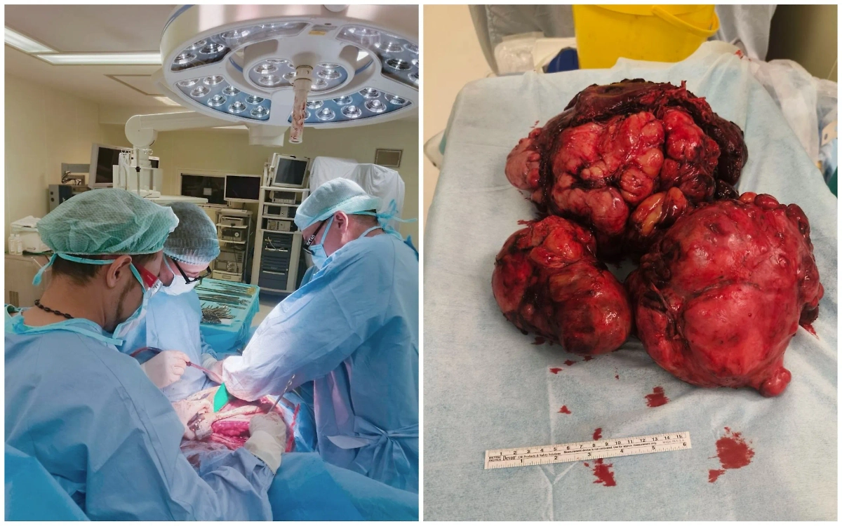 Фото © Центр Мешалкина