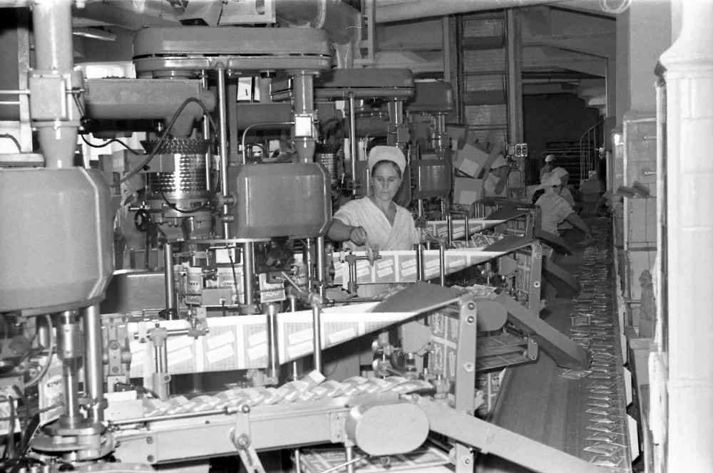 Что ждало советский общепит после неудачного эксперимента с бургерами. Фото © РИА «Новости» / Виталий Карпов