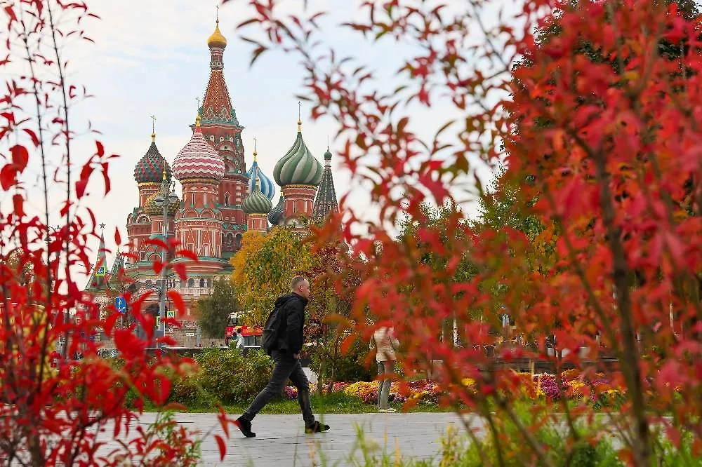 В ноябре 2025 года в Центральной России ожидается аномальная погода. Фото © ТАСС / Сергей Савостьянов