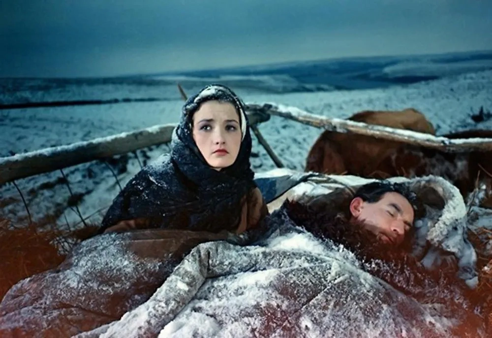 Какие фильмы снять по русской классике и посмотреть обязательно. Фото © «Тихий Дон», режиссёр Сергей Герасимов, сценаристы Сергей Герасимов, Михаил Шолохов / Kinopoisk