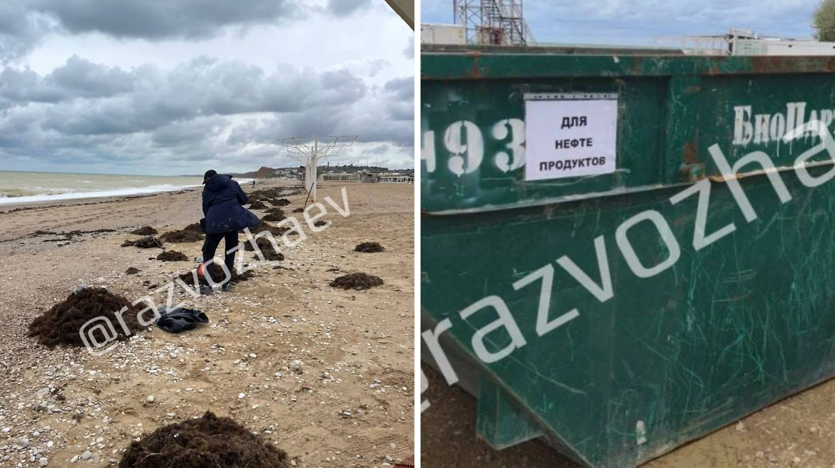В Севастополе обнаружены точечные пятна мазута на пляжах Северной стороны. Фото © Telegram / РаZVожаев