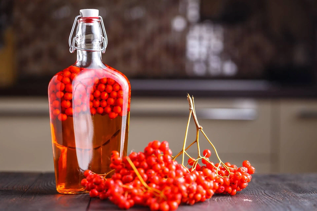 Рябиновый квас получается вкусным, полезным и ядрёным. Стоит попробовать хотя бы раз. Фото © Shutterstock / FOTODOM / Tasha Cherkasova