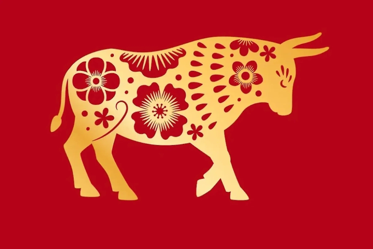 Каким будет новолуние в октябре для рождённых в год Быка? Последний такой год был в 2021-м. Фото © Shutterstock / FOTODOM / StockSmartStart 