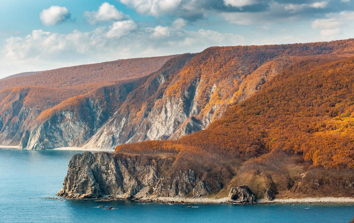 Сихотэ-Алинский заповедник. Фото © Сихотэ-Алинский заповедник / Евгений Табалыкин 