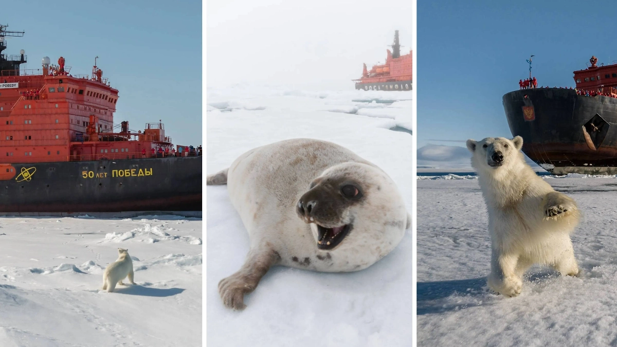 Фото © Telegram / Vadim Makhorov