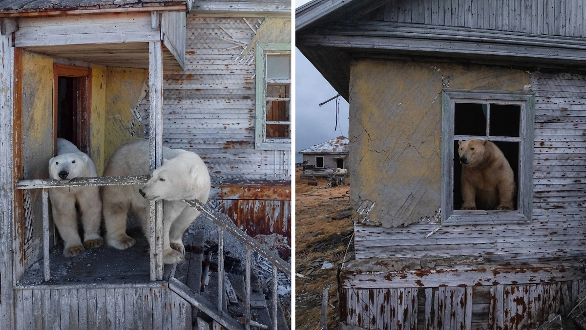 Фото © Telegram / Vadim Makhorov