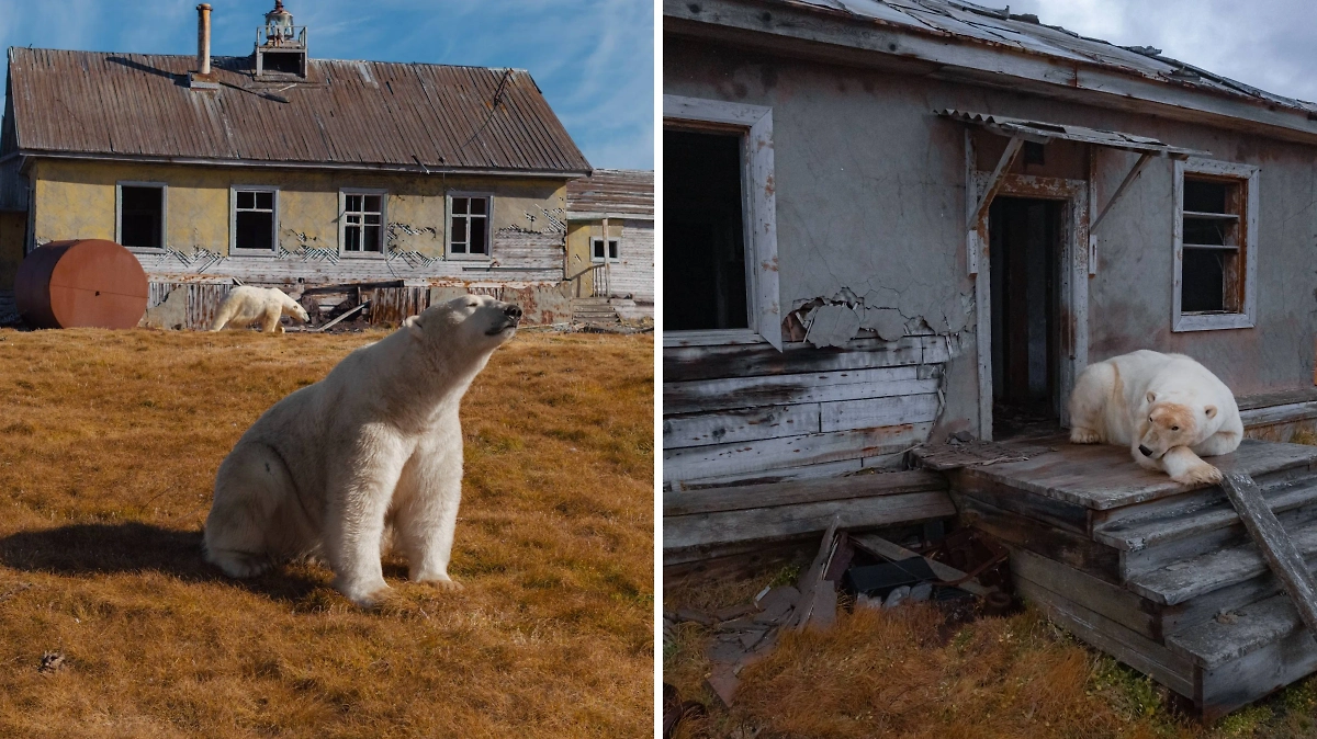 Фото © Telegram / Vadim Makhorov