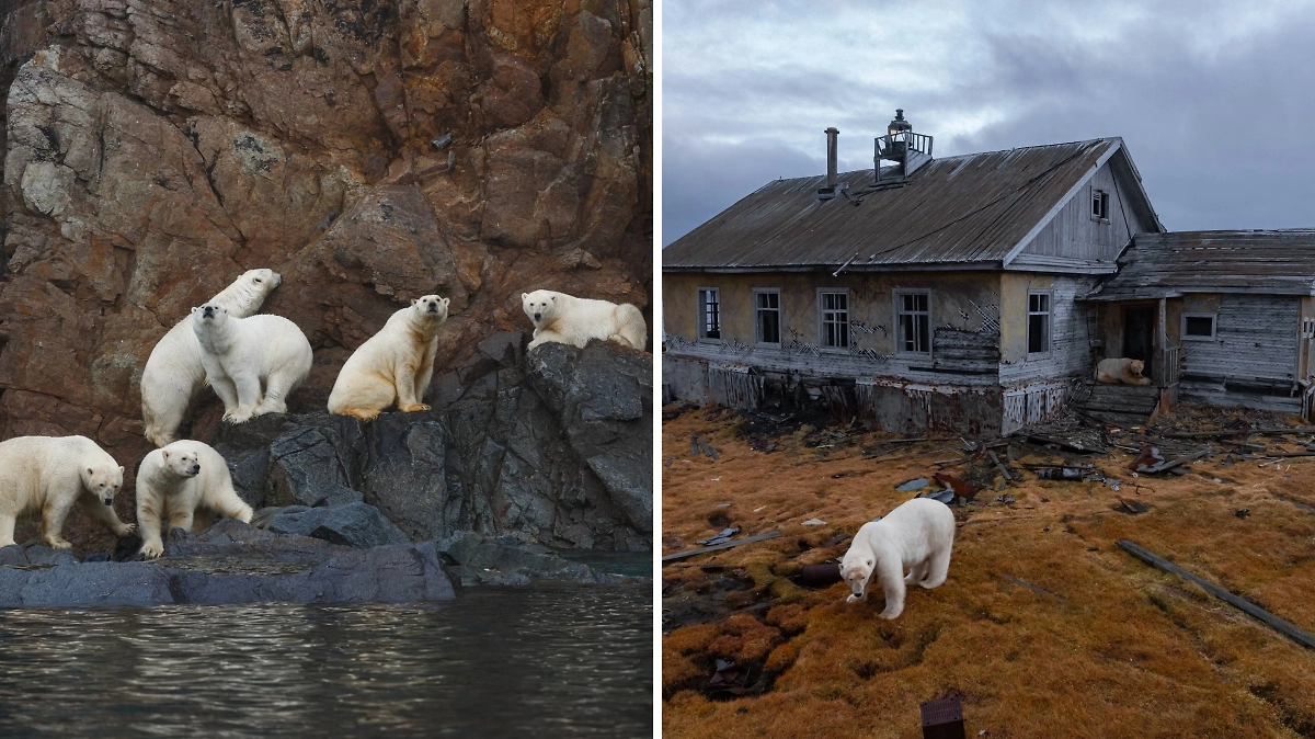 Фото © Telegram / Vadim Makhorov