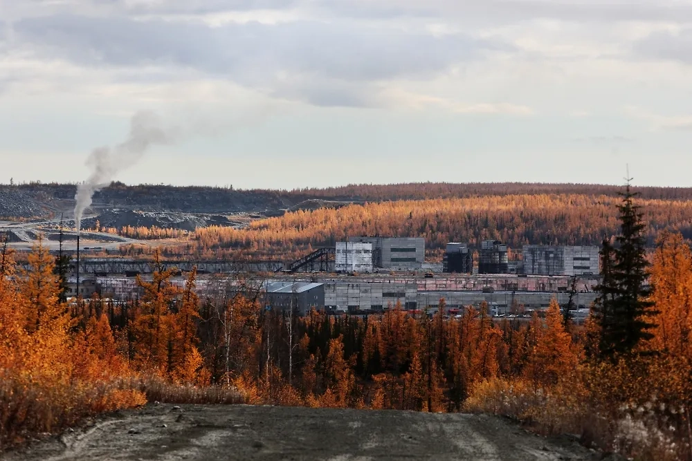 Чаще всего из колонии «Полярная сова» выходят вперёд ногами. Как бы грустно это ни было. Фото © РИА Новости / Мария Плотникова