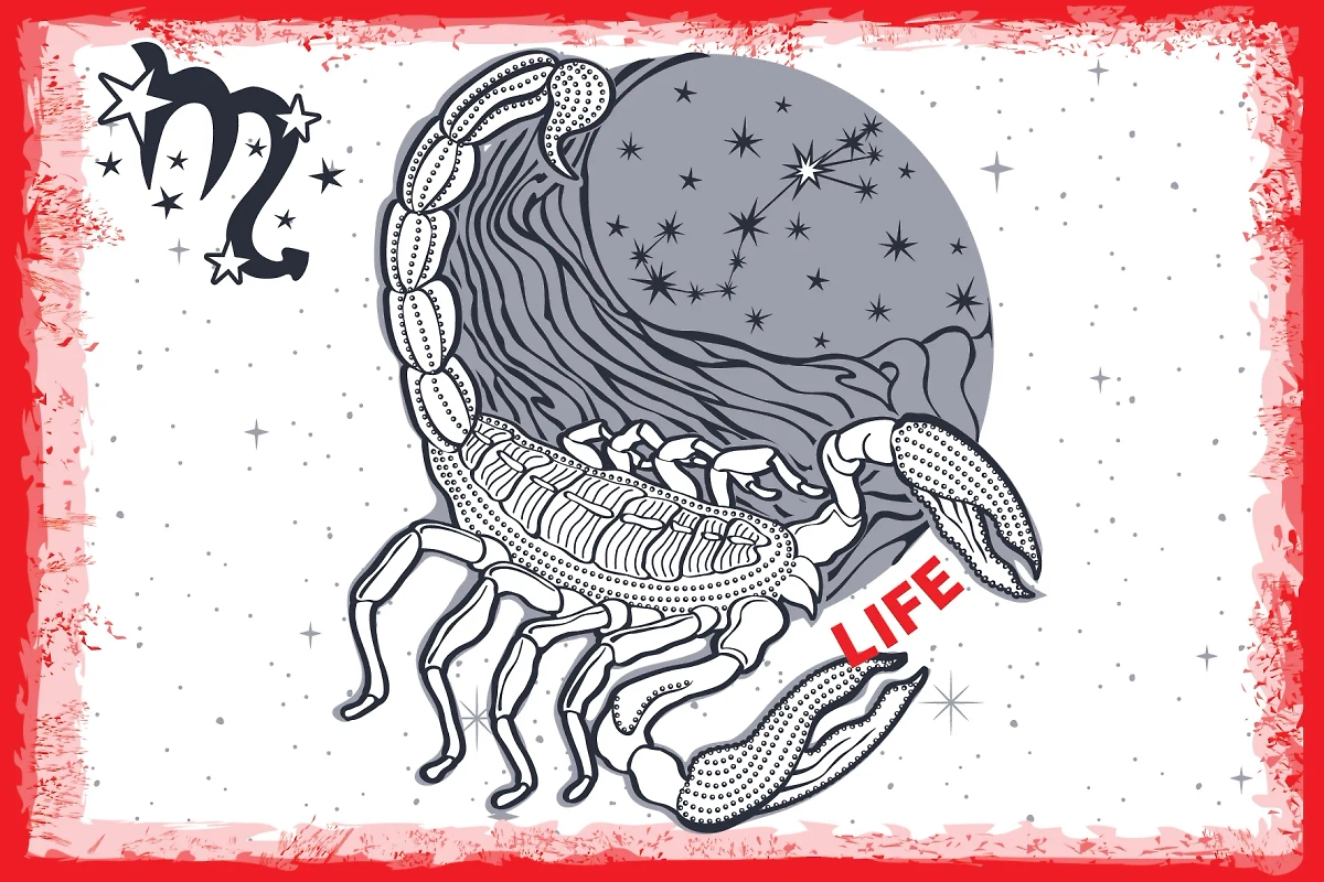 Сложный период в ноябре 2025: кому из знаков зодиака не повезёт. Фото © Life.ru