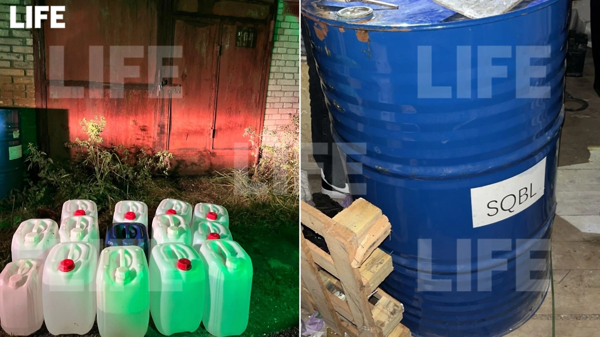 Стоимость партии на «чёрном» рынке оценивается примерно в 400 млн рублей. Фото © Предоставлено ФТС России Life.ru