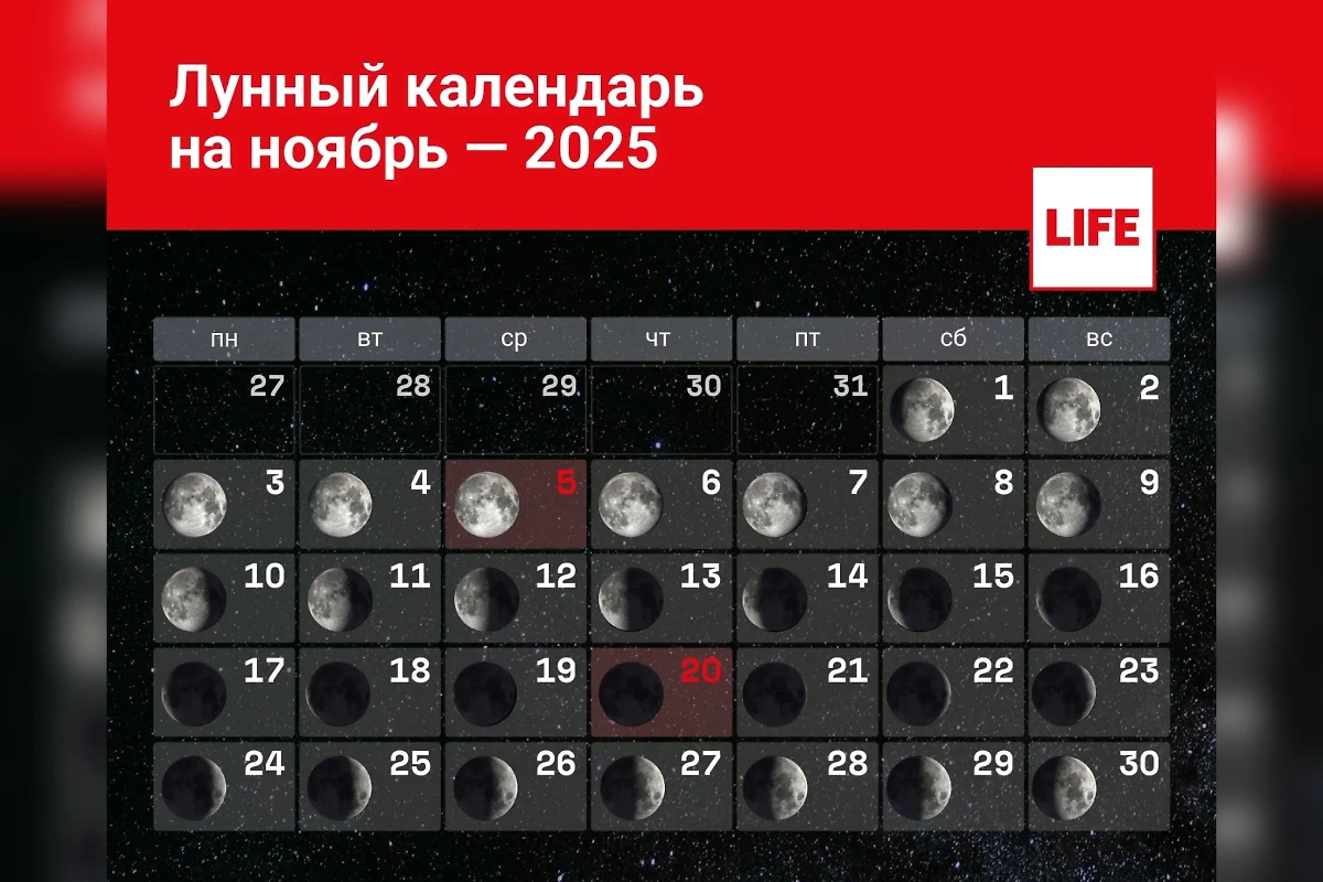 Лунный календарь на ноябрь 2025. Когда будут разные фазы Луны? Инфографика © Life.ru