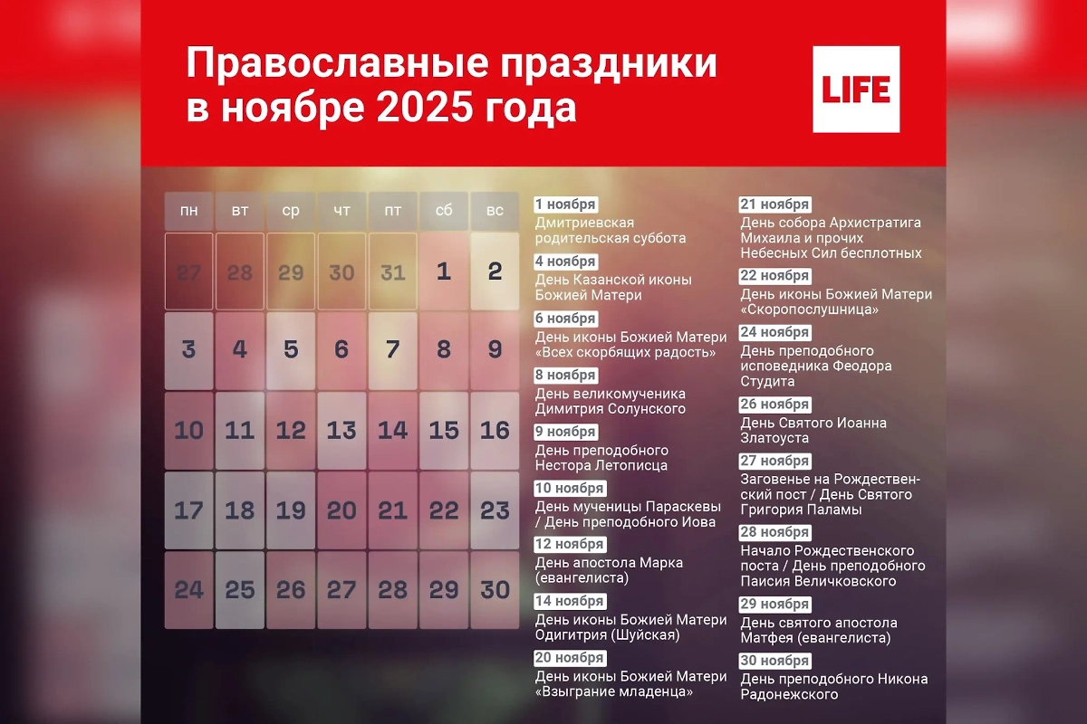 Православные праздники в ноябре 2025 года: какими они будут и как их можно отмечать. Фото © Life.ru