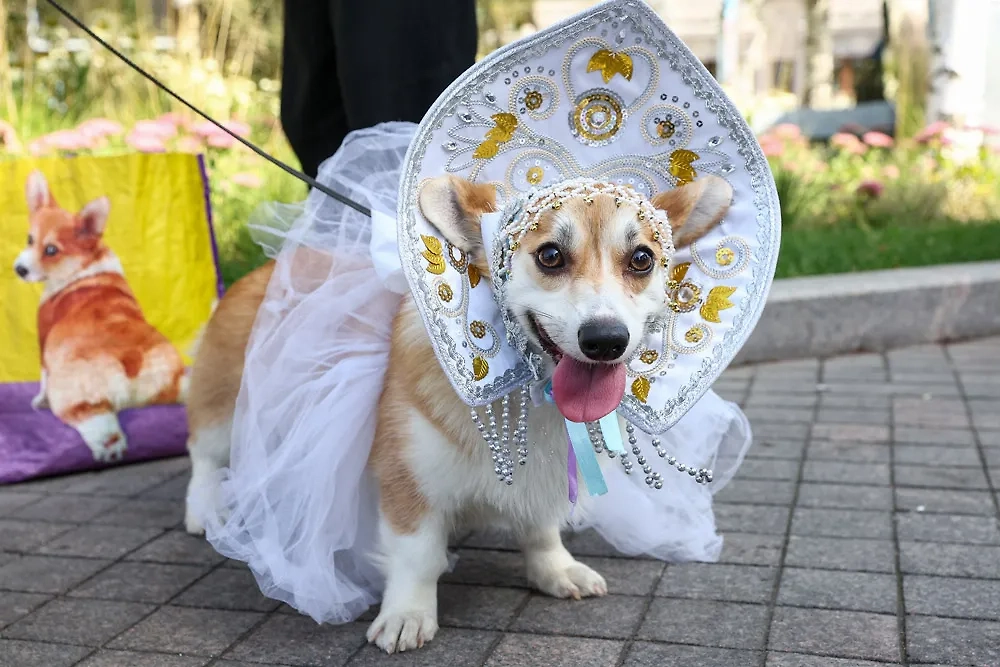 Теперь на каждой вечеринке самой крутой девчонкой будет та, что в кокошнике. Фото © ТАСС / Сергей Булкин